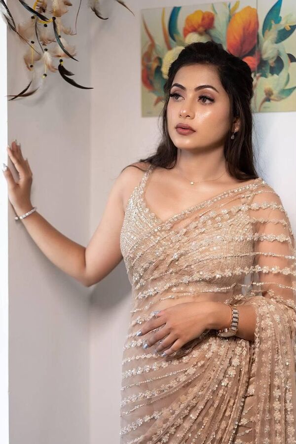 DESIGNERS NET FABRIC Saree