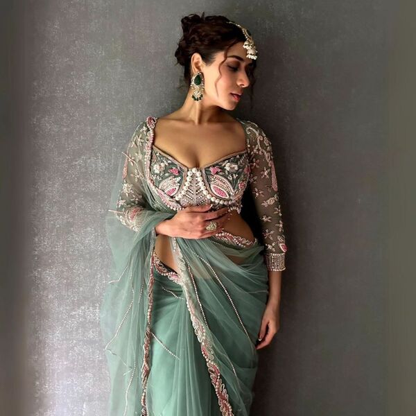 Premium Net Embellished Saree