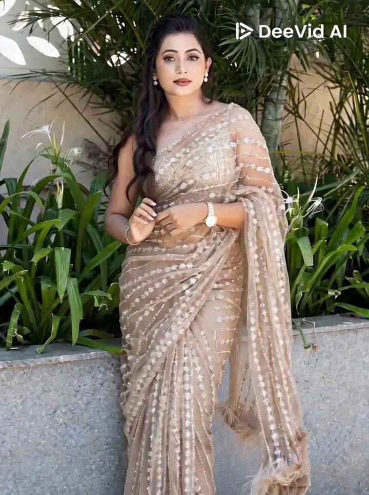 DESIGNERS NET FABRIC Saree