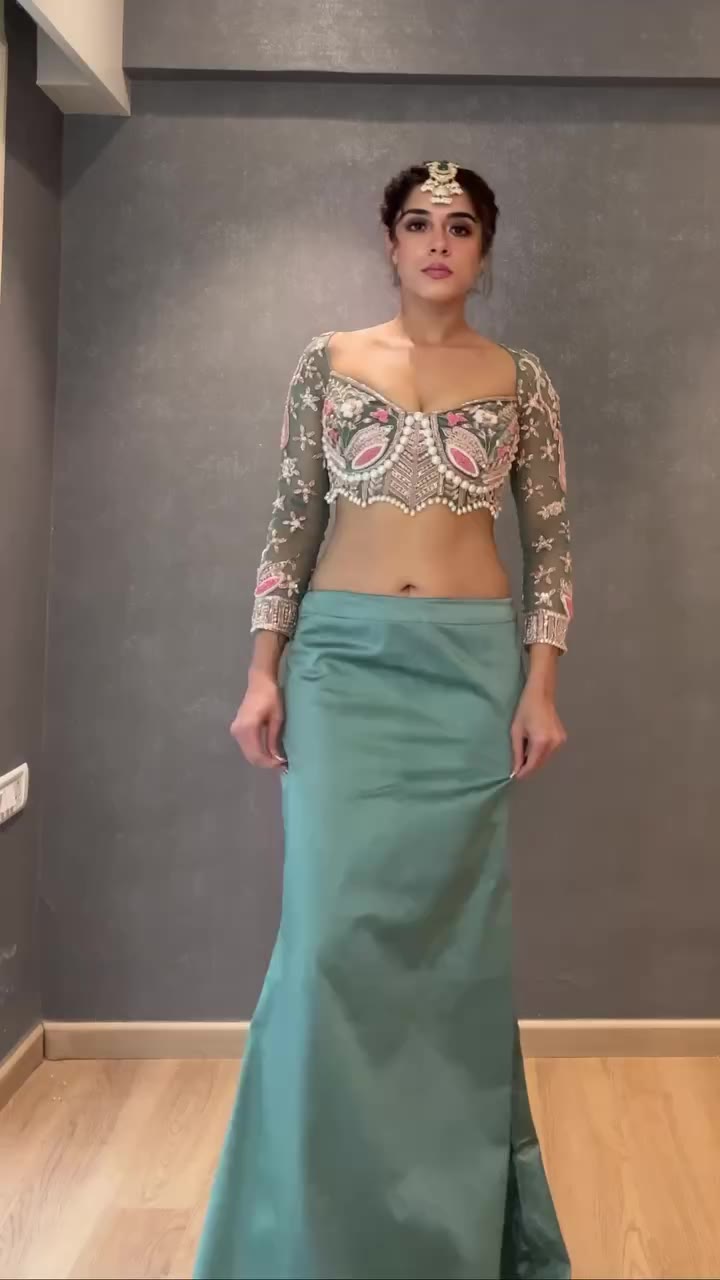 Premium Net Embellished Saree